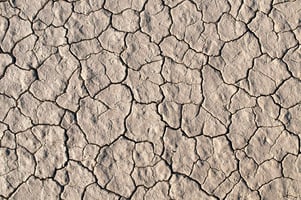 dry, cracked desert sand